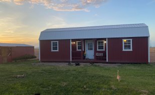 Kitties, kitties cottages, cats, cat house, rescue