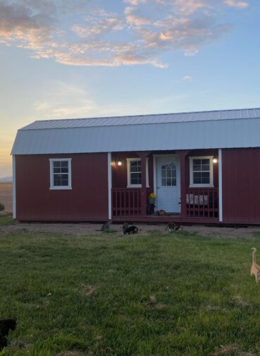 362395415_1240865423288135_4342490641217490951_n Kitties, kitties cottages, cats, cat house, rescue