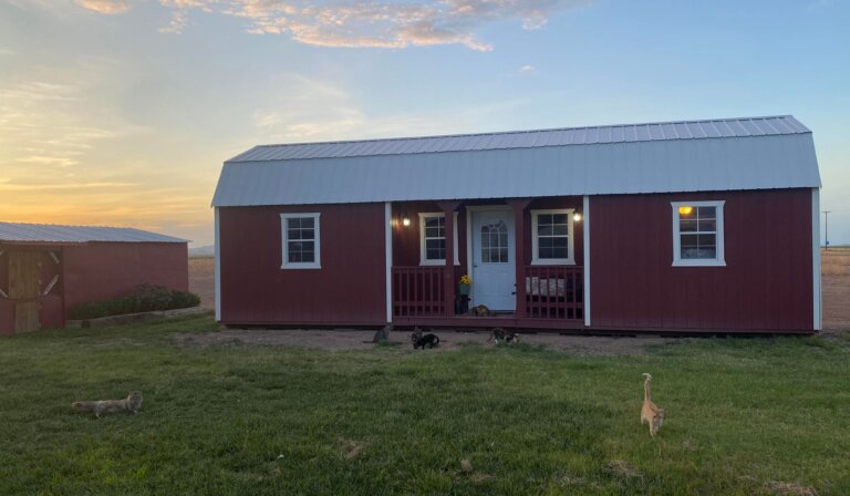 Kitties, kitties cottages, cats, cat house, rescue